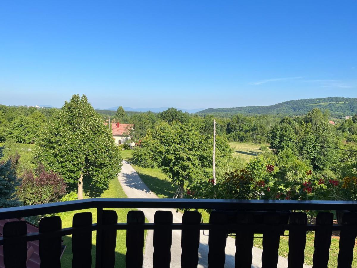 Guesthouse Hodak Seliste Dreznicko Bagian luar foto